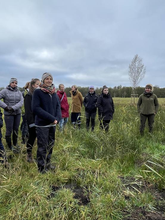 Netzwerk Frauen für mehr Klimaschutz und Nachhaltigkeit in MV