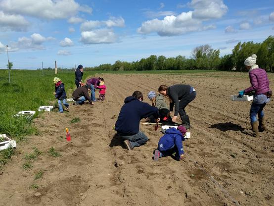 Solidarische Landwirtschaft Bekegarten/Bunte Höfe