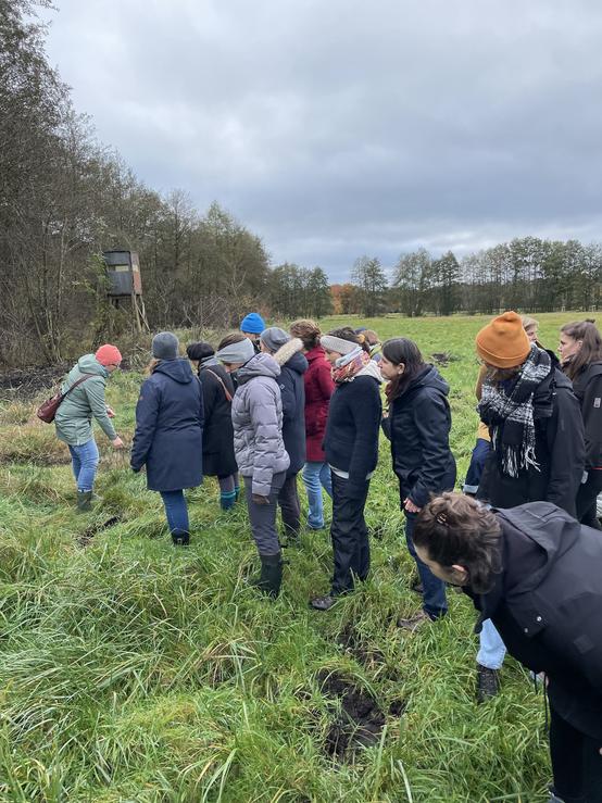 Netzwerk Frauen für mehr Klimaschutz und Nachhaltigkeit in MV